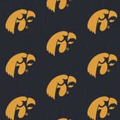 Iowa Hawkeyes College Team Logo Rug (repeated logo)